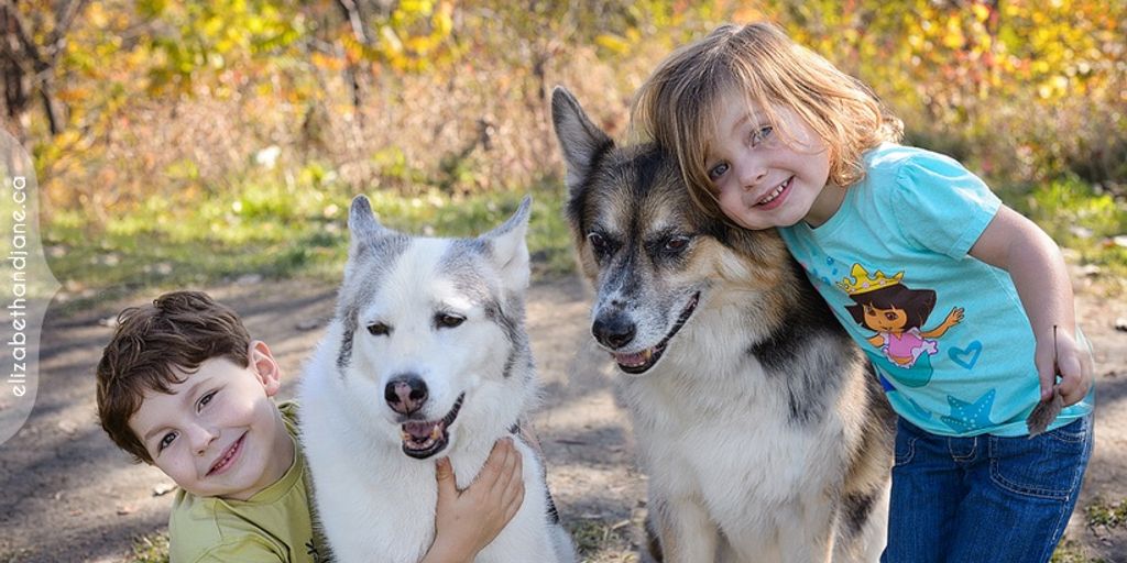 happy family with pets at home