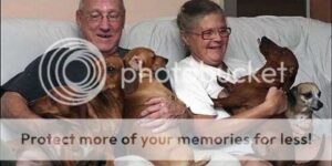 happy pets with their owners