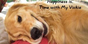 happy pets with their owners at home