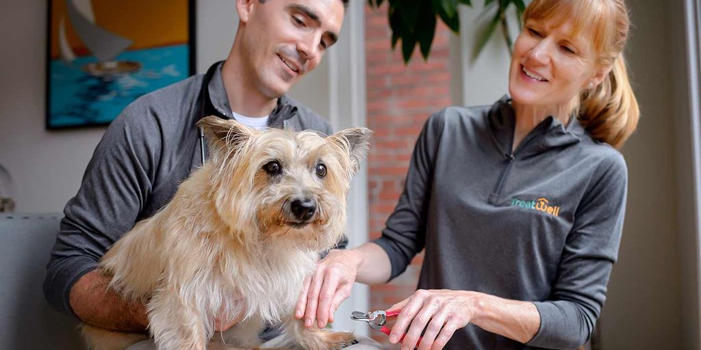 happy family with pets at home