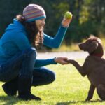 healthy pets at home