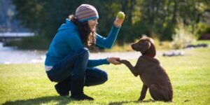 healthy pets at home